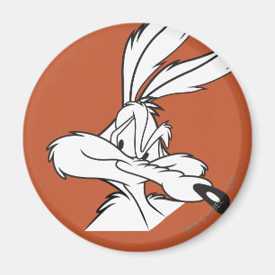 Wile E. Coyote Looking sneaky Magnet