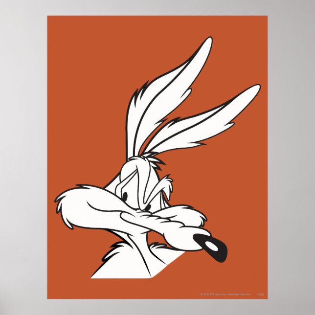 WILE E. COYOTE™ Looking sneaky Poster (Front)