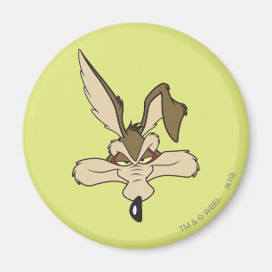 Wile E. Coyote Pleased Head Shot Magnet