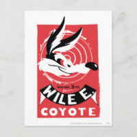 WILE E. COYOTE™ Warner Bros. Presents poster