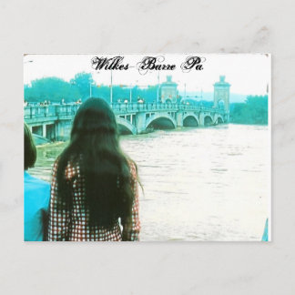 Wilkes-Barre Pa. Postcard