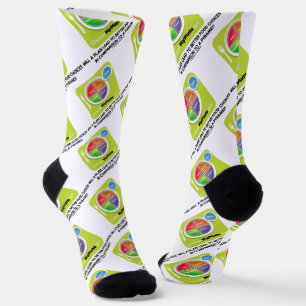 Will A Plate Lead To Better Food Choices Pyramid Socks