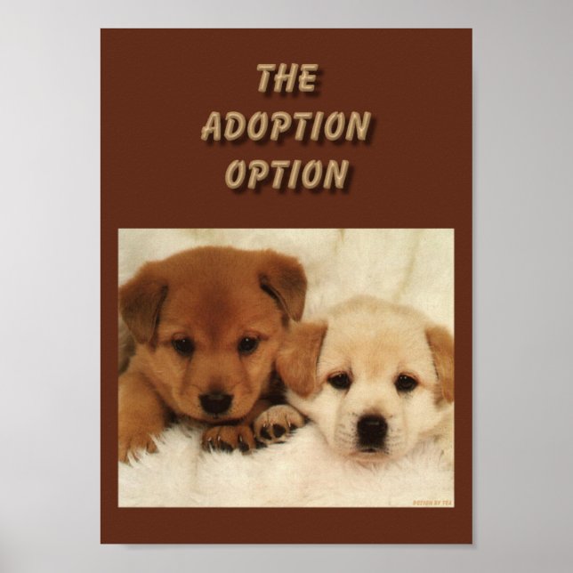 Will adoption be your first option? poster (Front)