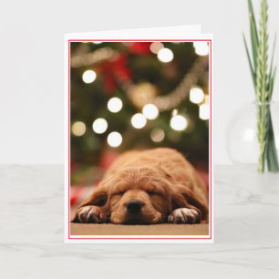 Will Santa Never Come? Holiday Card