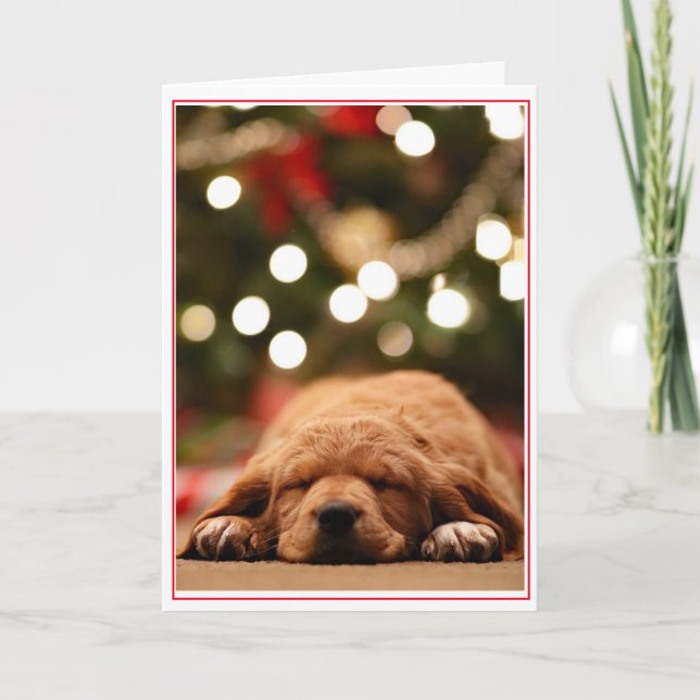 Will Santa Never Come? Holiday Card (Front)