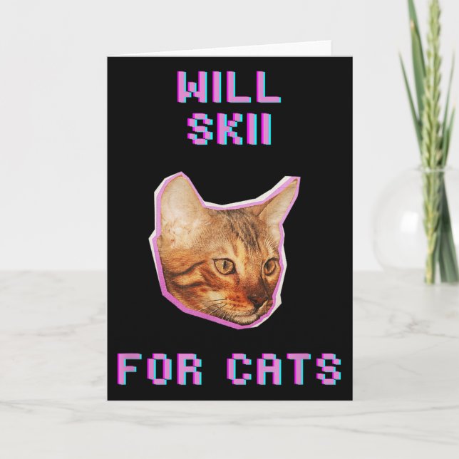 Will Skiing For Cats Funny Winter Snow Adventure  Card (Front)