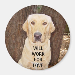 WILL WORK FOR LOVE MAGNET