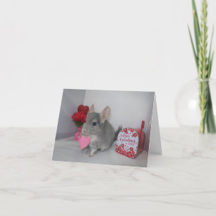 Will you be my Valentine chinchilla  Card