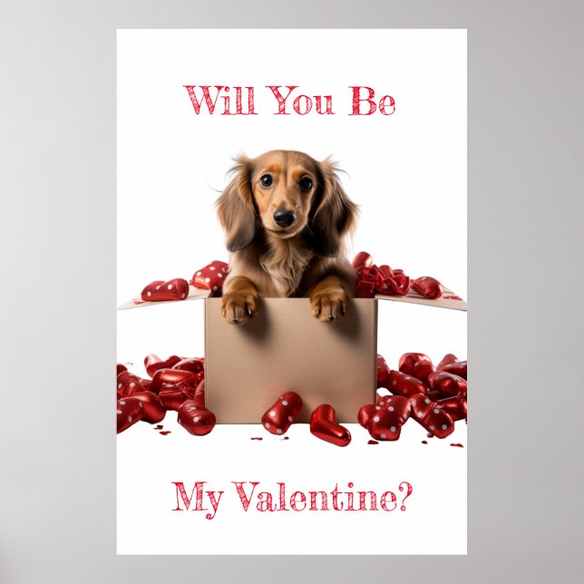 Will You Be My Valentine Long Hair Dachshund Heart Poster (Front)