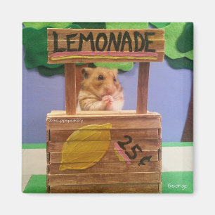 Will You Buy Some Lemonade? Pretty Please? Magnet