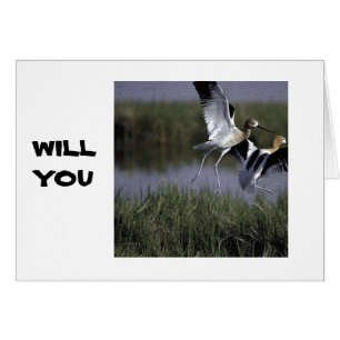 WILL YOU COME FLY AWAY WITH ME? LOVE CARD