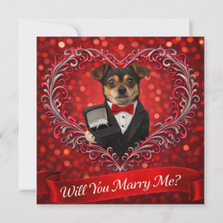 Will You Marry Me? 1 Card
