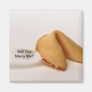 Will You Marry Me Magnet