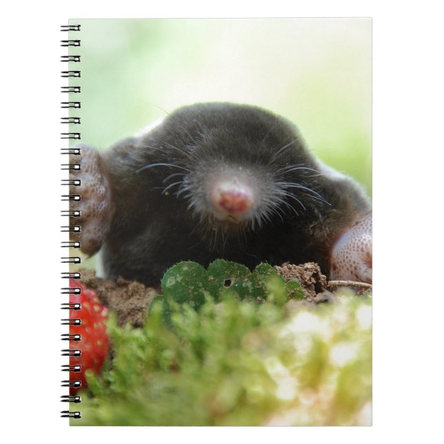 'Will you marry me?' Spiral Notebook (Front)