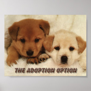 Will you wait to adopt an animal? poster