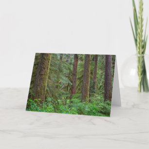 Willamette National Forest Oregon Card