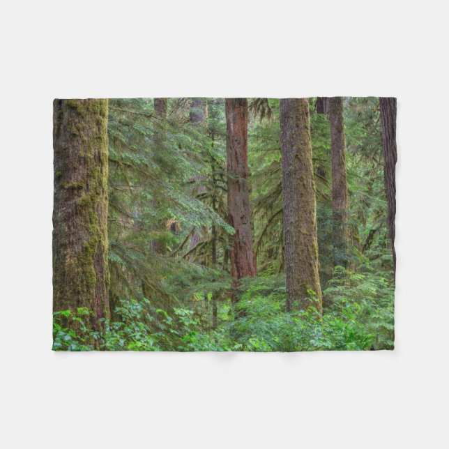 Willamette National Forest | Oregon Fleece Blanket (Front (Horizontal))