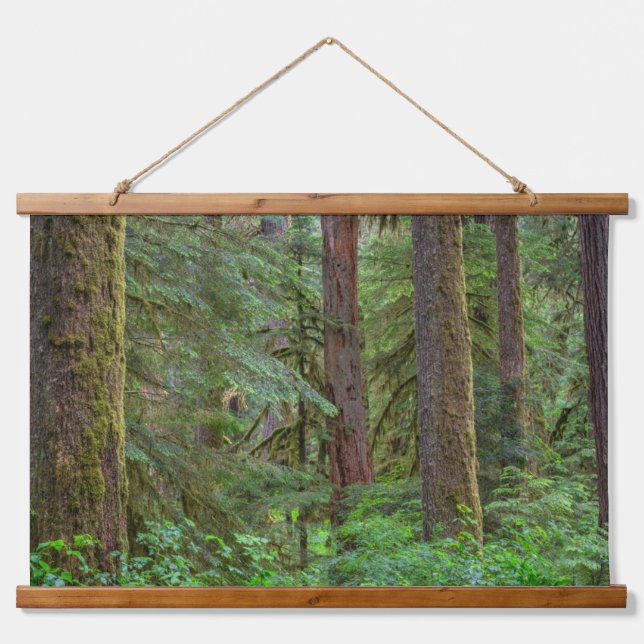 Willamette National Forest | Oregon Hanging Tapestry (Front)