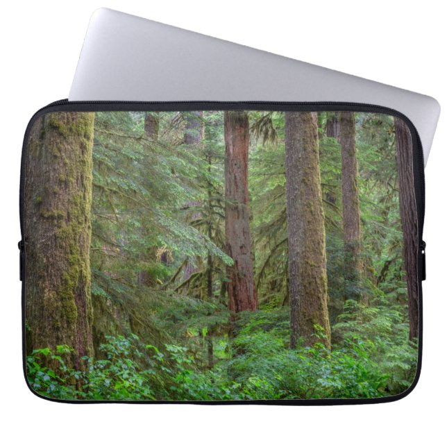 Willamette National Forest | Oregon Laptop Sleeve (Front)
