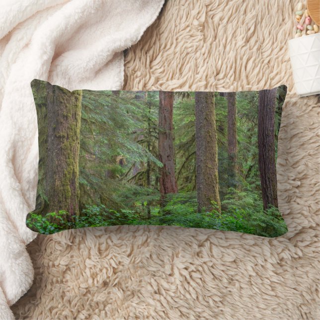 Willamette National Forest | Oregon Lumbar Cushion (Blanket)