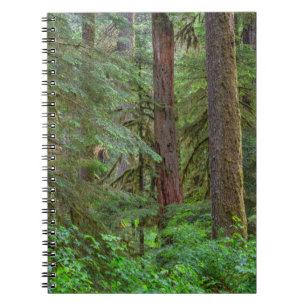 Willamette National Forest Oregon Notebook