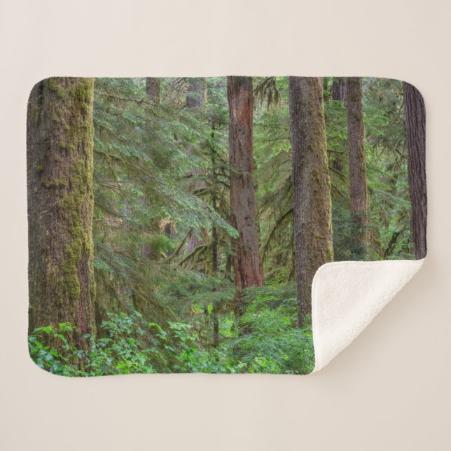 Willamette National Forest | Oregon Sherpa Blanket (Front (Horizontal))