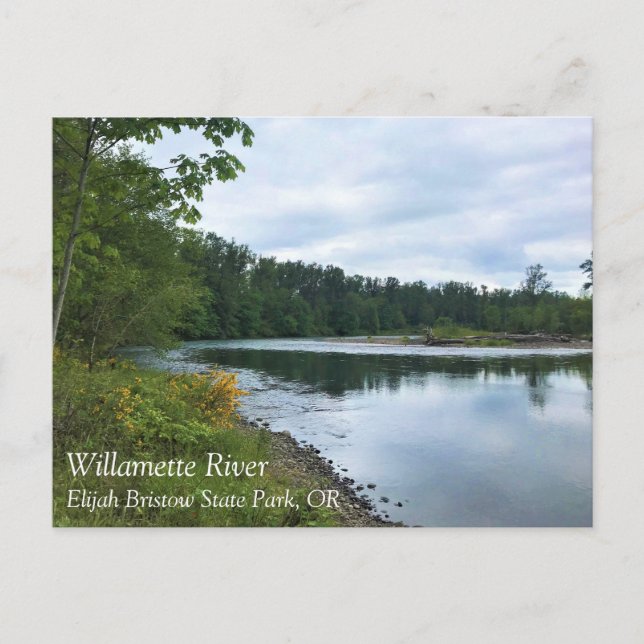 Willamette River, Elijah Bristow State Park, OR Po Postcard (Front)