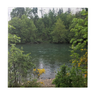 Willamette River, Elijah Bristow State Park, OR Tile
