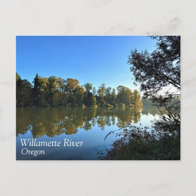 Willamette River, OR Postcard (Front)