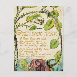 William Blake The Sick Rose, from Songs of Innoc Postcard