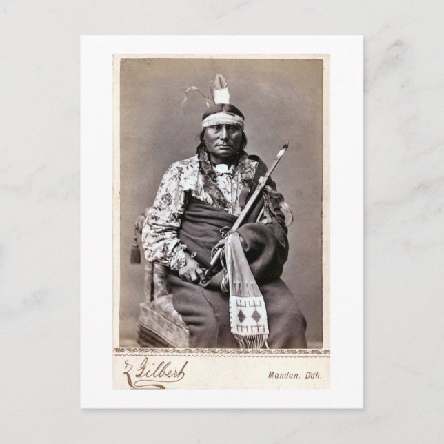 William Gilbert Gaul Native American Indian Postcard (Front)