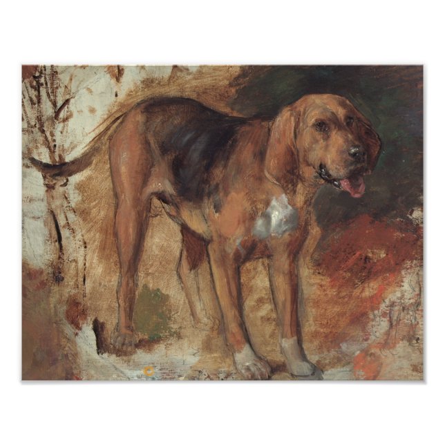 William Holman Hunt - Study of a Bloodhound Photo Print (Front)
