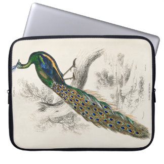 William Jardine - A Majestic Male Peafowl Portrait Laptop Sleeve