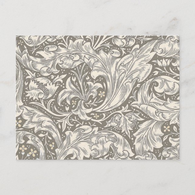 William Morris Bachelor's Button Flower Floral Bot Postcard (Front)