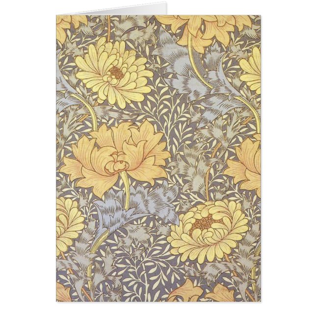 William Morris Chrysanthemum Mum Flowers (Front)
