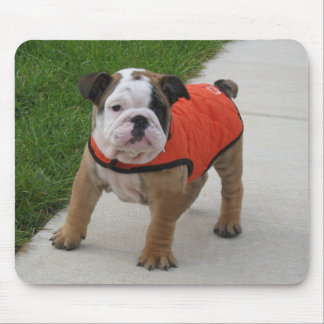 William the English Bulldog Puppy Mouse Pad