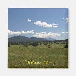 Williams AZ Magnet