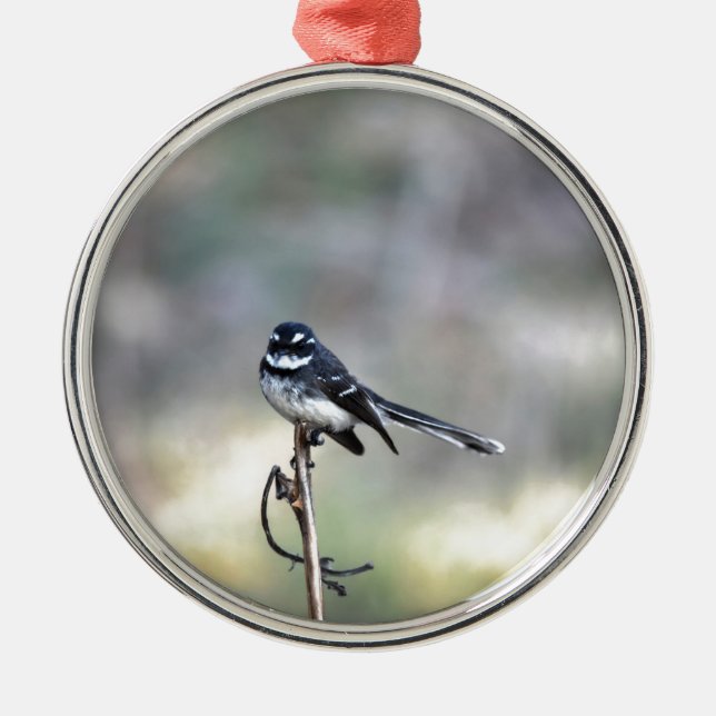 WILLIE WAGTAIL RURAL QUEENSLAND AUSTRALIA METAL TREE DECORATION (Front)