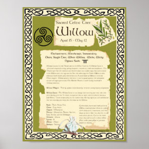 WILLOW CELTIC SACRED TREE POSTER