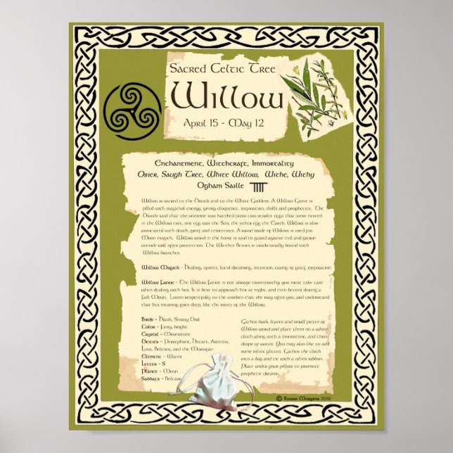 WILLOW CELTIC SACRED TREE POSTER (Front)