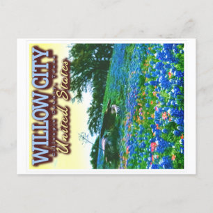 WILLOW CITY TEXAS - WILLOW CITY LOOP - BLUEBONNET POSTCARD