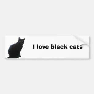 Willow, I love cats Bumper Sticker