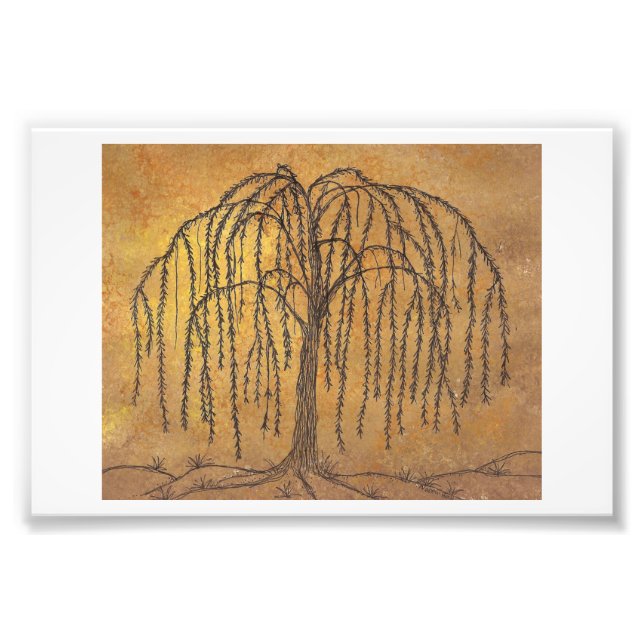 Willow Photo Print (Front)