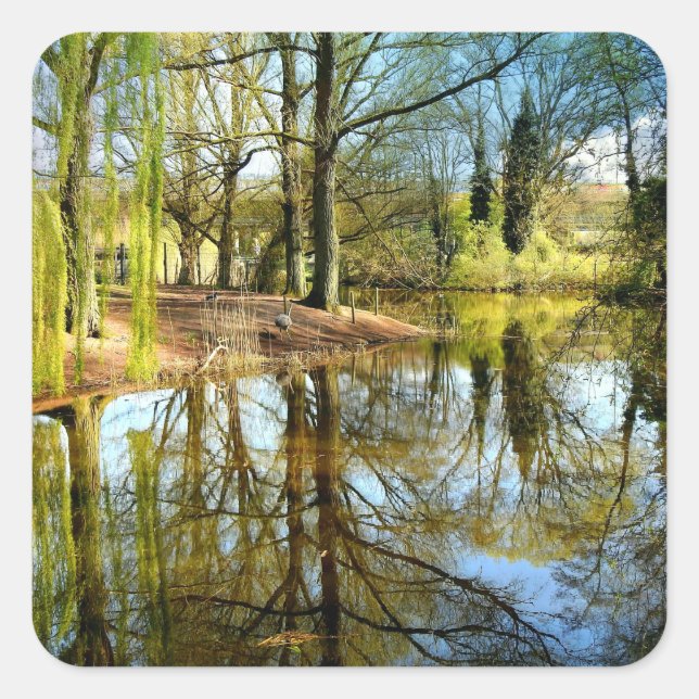 Willow Pond Water Reflection Square Sticker (Front)