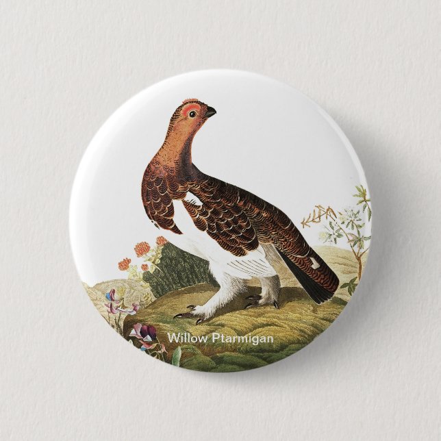 Willow Ptarmigan by John James Audubon Birder Bird 6 Cm Round Badge (Front)