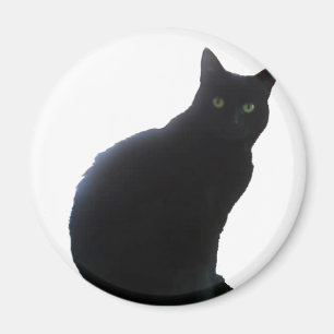 Willow the Black Cat Magnet