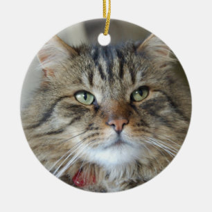 Willow the cat ceramic tree decoration