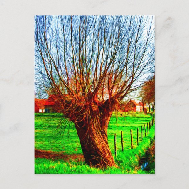 willow tree in traditional Flemish landscape Postcard (Front)