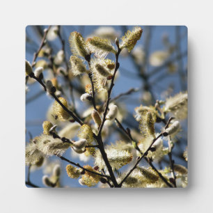 WILLOW TREE PLAQUE