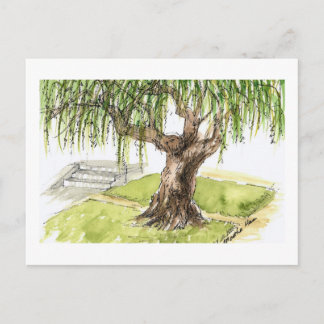 Willow Tree Postcards